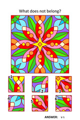 Visual puzzle with picture fragments. Abstract floral geometric design pattern. What does not belong?
