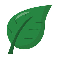 Vector graphic of leaf. Green leaf illustration with flat design style. Suitable for content design assets