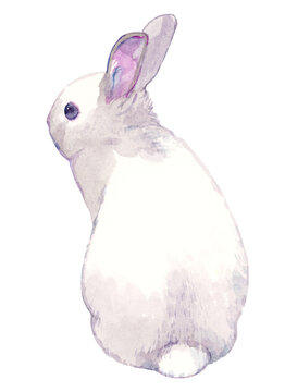 うさぎの水彩イラスト（背景透過版）