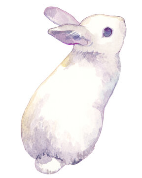 うさぎの水彩イラスト（背景透過版）