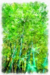 bamboo tree watercolor style illustration impressionist painting.