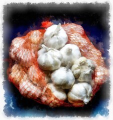 garlic in a mesh bag on a black background watercolor style illustration impressionist painting.