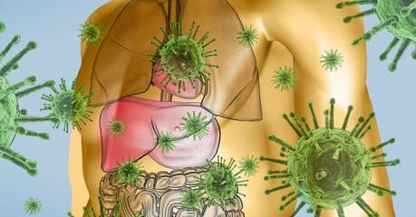 Digital illustration of a 3D human body model over macro Coronavirus Covid-19 cells floating 