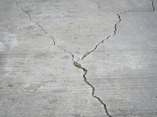 Cracks in the cement pavement caused by various vibrations. - 531575771