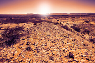 Rock formations in the Israel desert - obrazy, fototapety, plakaty