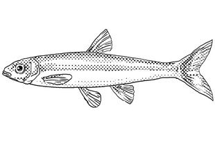 Cartoon style line drawing of a mimic shiner or Notropis volucellus  a freshwater fish endemic to North America with halftone dots shading on isolated background in black and white.