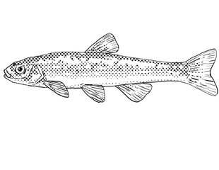 Cartoon style line drawing of a northern pearl dace or Margariscus nachtriebi a freshwater fish endemic to North America with halftone dots shading on isolated background in black and white.