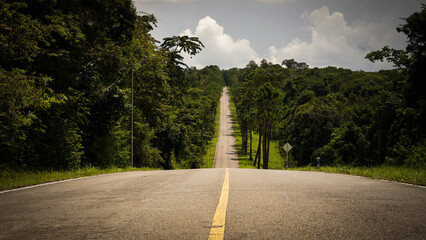 The road on the way to Chulabhorn Dam is filled with beautiful forests and pine trees during the...