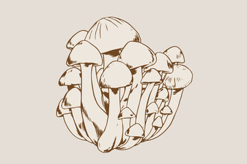 mushrooms illustration with hand-drawn style for your design element