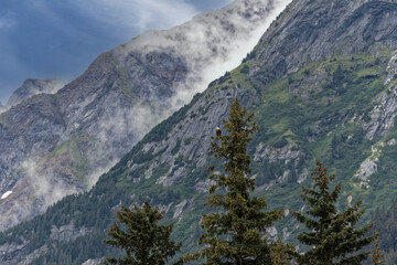 Fototapeta na wymiar Haines Landscape - Chilkat State Park 002