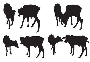 silhouettes of cows