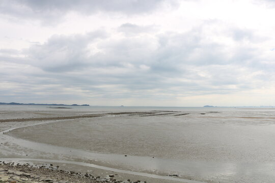 Mud Flat And Sea