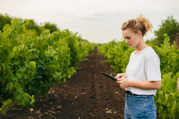 Side view of a female in the vines using tablet to take orders for her grape. Smart farming and...
