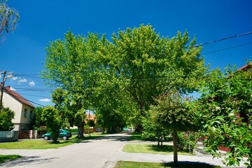 Gyor Hungary 2022 June