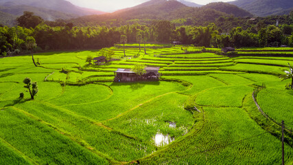 Aerial view of the green rice terraces on the mountains in spring. Beautiful green area of young rice fields or agricultural land in northern Thailand. Natural landscape background.