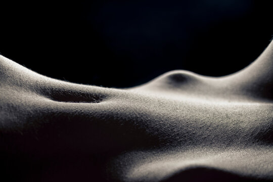 Bodyscape of a nude woman stomach backlighting in artistic conversion on black background. Creative backlit.