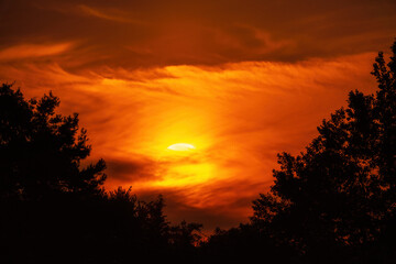 Beautiful sunset sky with clouds