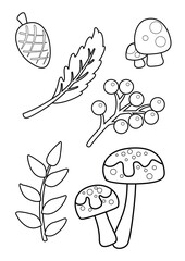 Mushrooms Plants Leaf Leaves Nature Walnut Coloring Pages A4 for Kids and Adult