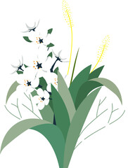 decorative botany colorful classical
