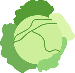 Kale flat vector icon for food applications and websites.