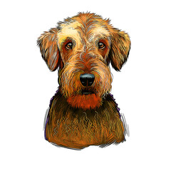 Airedale Terrier Dog Breed Watercolor Sketch Hand Drawn Painting Silhouette Sticker Illustration Sublimation EPS Vector Graphic