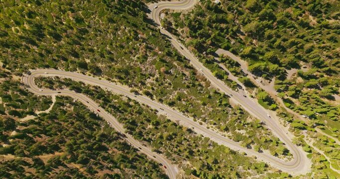 Summer forest road landscapes. Mountain road crosiing the wood.