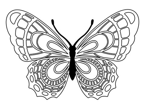 Vector coloring book page. Silhouette of elegant butterfly in mandala style isolated on white background