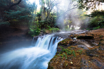 waterfall in the woods