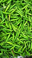 green  chilli background