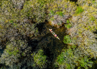 Naklejka premium Amazing scenery in Ru Cha mangroves in Hue city, Vietnam.
