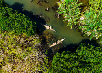Amazing scenery in Ru Cha mangroves in Hue city, Vietnam.