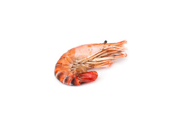 Grilled shrimp isolated on white background.