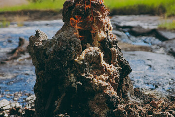 Eternal fire in the mountains