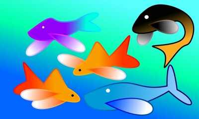 Obraz premium fish in the water