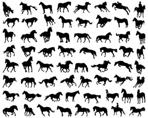Big set of horses silhouettes	