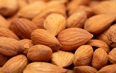 Apricot kernels peeled close-up as a background. Apricot grains heap isolated on white background.