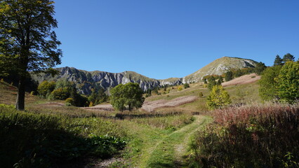 Fototapeta na wymiar landscape near Gornje Bare, with mountain view and autmun colours, Sutjeska National Park, Bosnia and Herzegovina, europe