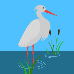 heron standing in the water