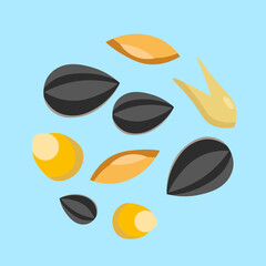 sunflower seeds, corn and grains on a blue background