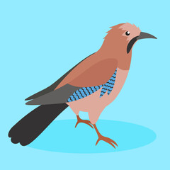 cuckoo on a blue background