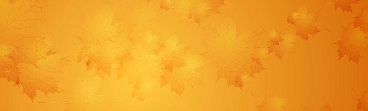 Golden orange minimal autumn background with maple leaves. Vector banner design