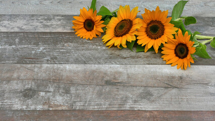 Sonnenblumen auf hölzernem Hintergrund.