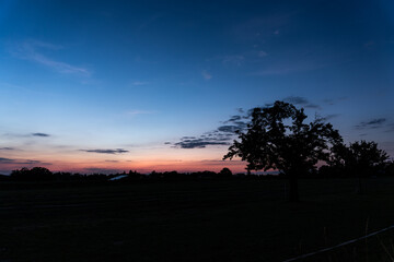 Fototapeta na wymiar Sonnenuntergang mit Baum im Vordergrund