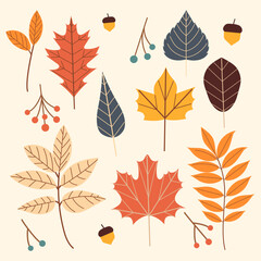 Colorful autumn set of leaves, barries and acorns. Vector illustration clipart