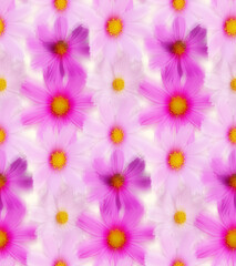 Fototapeta na wymiar Blurred Real Calendula Daisy Flowers Seamless Pattern Psychedelic Design Perfect for Allover Fabric Print Trendy Fashion Colors Natural Look