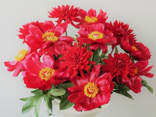 レッドチャーム