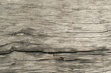 Old Wood Texture Background
