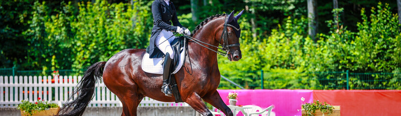 Horse Dressage horse with rider in the detail Head line of the back of the horse in a gallop during...