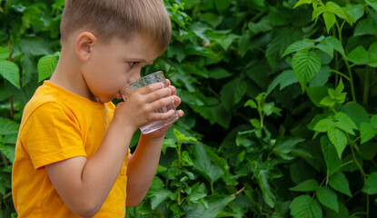 Fototapeta premium little boy drinking water with a glass in the park.