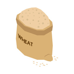 Isometric Wheat Illustration